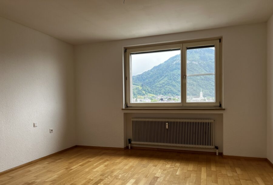 5 Zimmer-Wohnung | Dornbirn | Aussicht - IMG_5651