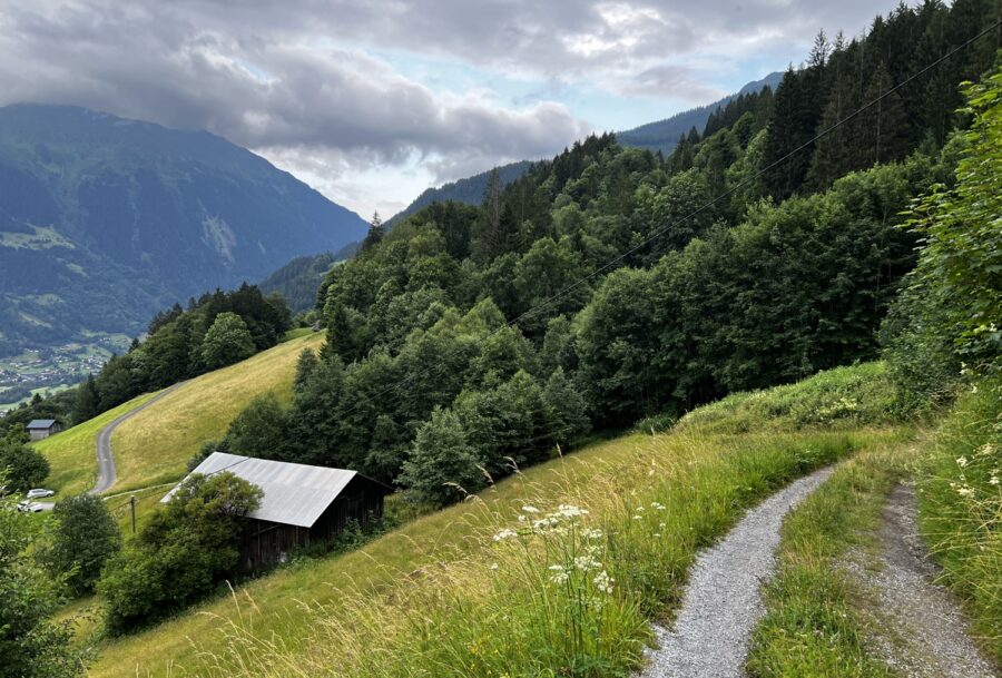 Schotterweg - Tschagguns | Waldflächen | Landwirtschaftliche Flächen | Kauf