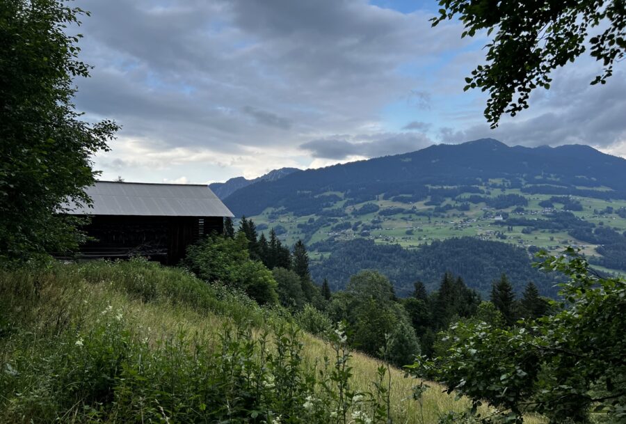 Stadel - Tschagguns | Waldflächen | Landwirtschaftliche Flächen | Kauf